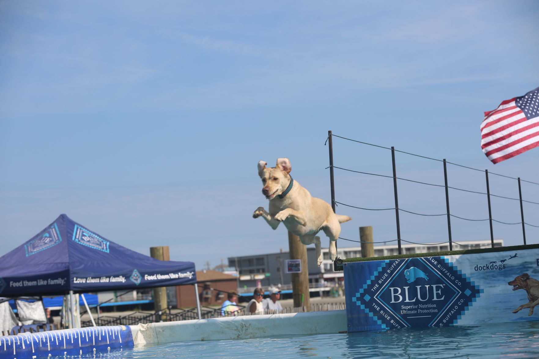 090919_gal_dockdogsWW (13)